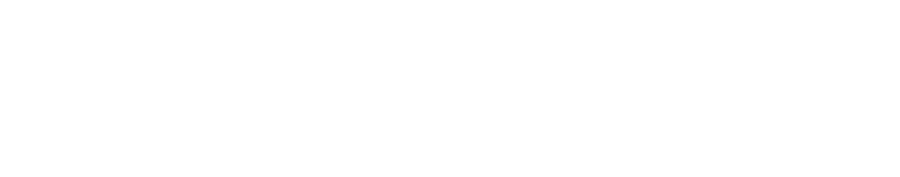 Lynxmar-logo-text-white